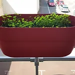 Lägenhet Compostela *