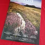 Compostela Lägenhet