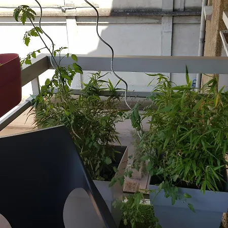 Apartment Compostela