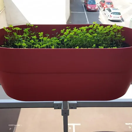 Apartment Compostela *