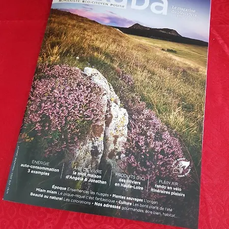 Compostela Apartment