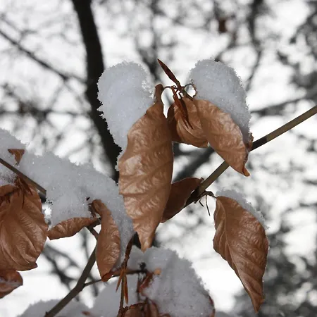 Compostela Apartment Le Puy-en-Velay