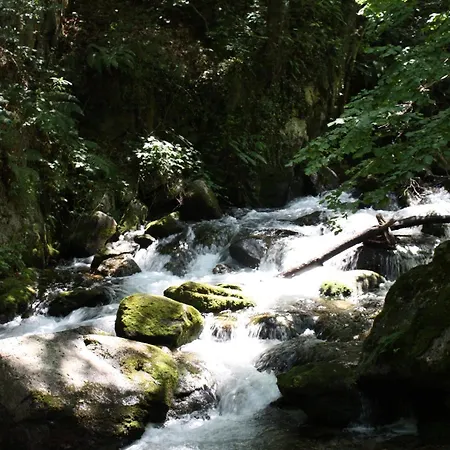 Apartment Compostela