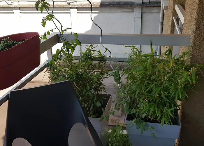 Apartment Compostela