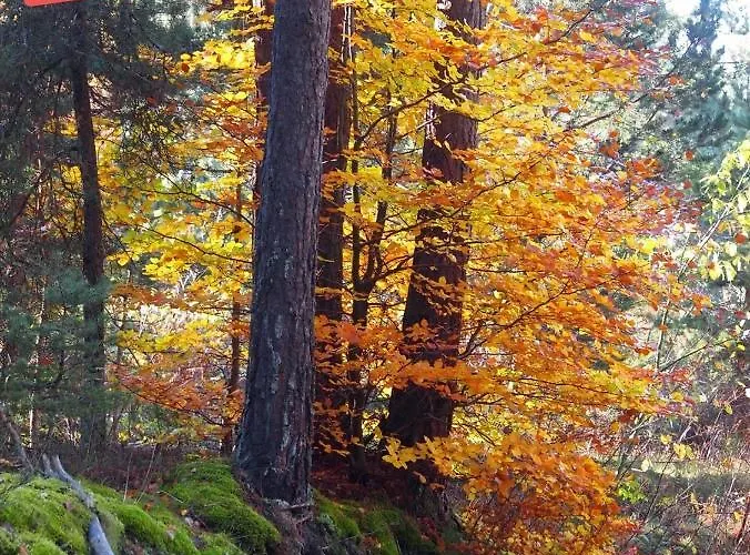 公寓 Compostela Le Puy-en-Velay