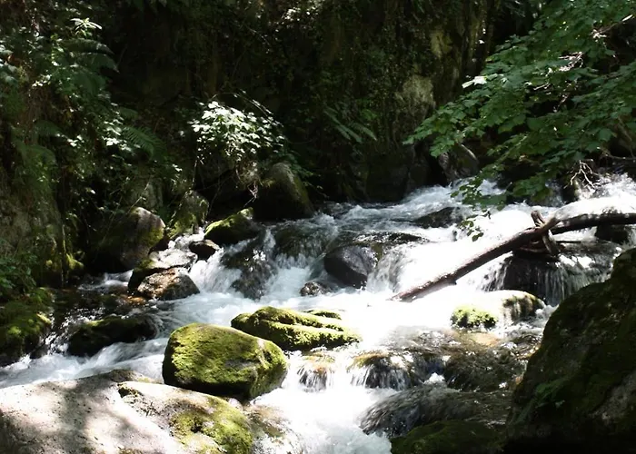 Apartment Compostela