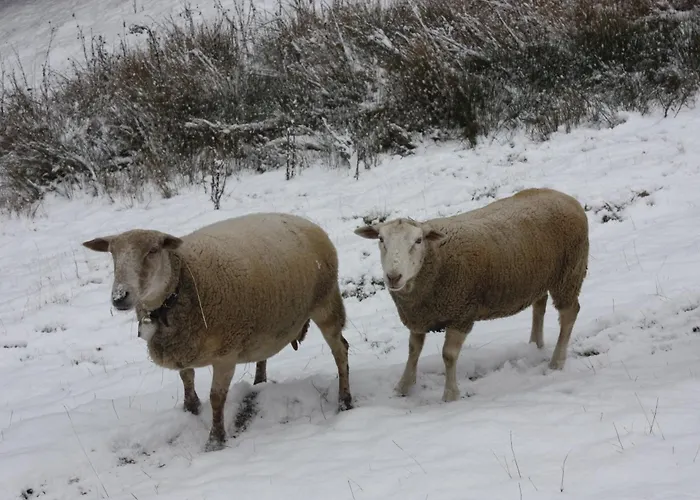 Apartment Compostela